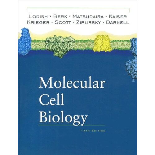 Molecular Cell Biology - 5th Edition