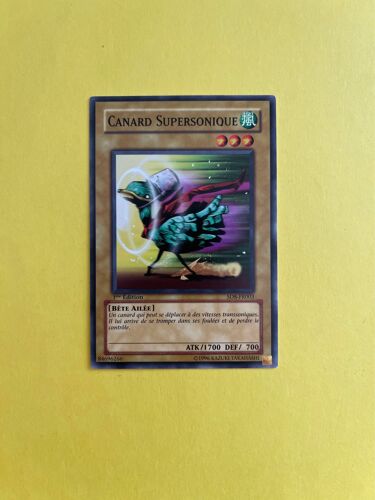 Canard Supersonique Sd8-Fr003 