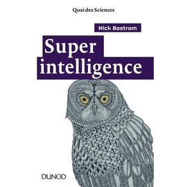 Superintelligence