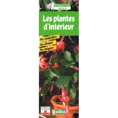Les Plantes D'interieur
