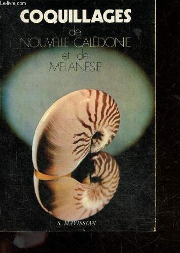 Coquillages De Nouvelle Caledonie Et De Melanesie