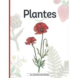 Plantes