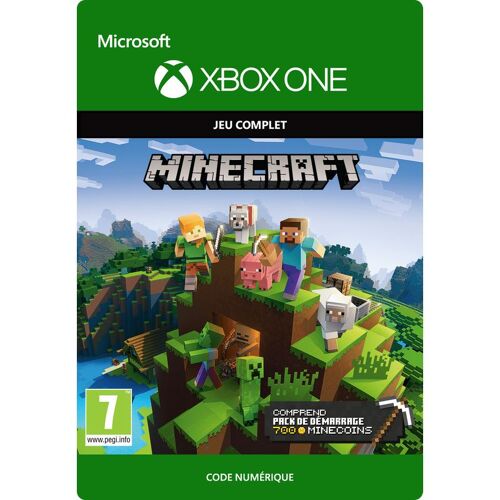 Minecraft Starter Collection