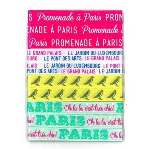 Ruban Imprimé Destination Paris 90 Cm X 4