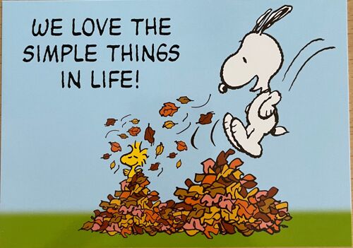 Peanuts - Snoopy - We Love Simple Things - 10x15cm - Carte Postale