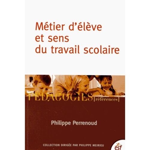 Métier D'élève Et Sens Du Travail Scolaire