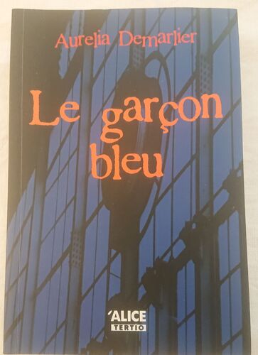 Le Garçon Bleu