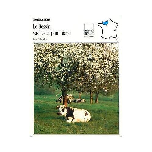 Fiche Le Bessin, Vaches Et Pommiers