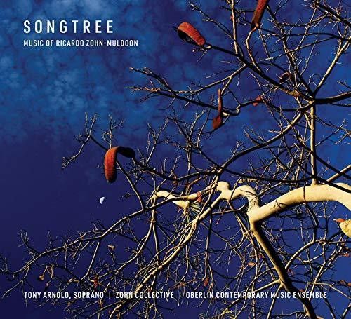Muldoon / Brown - Songtree [Compact Discs]