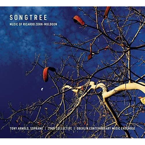 Muldoon / Brown - Songtree [Compact Discs]