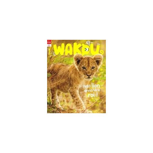 Wakou 399 Petit Lion Deviendra Roi