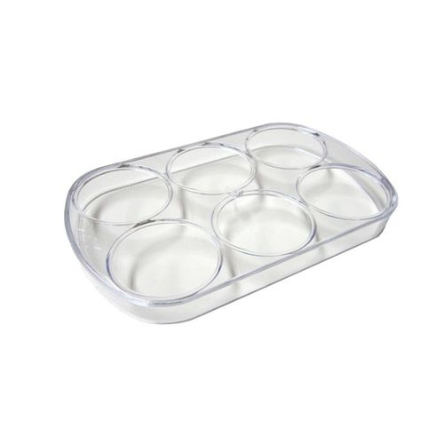 BAC A OEUFS (6) (152X95X20) SCHOLTES POUR REFRIGERATEUR - C00090981