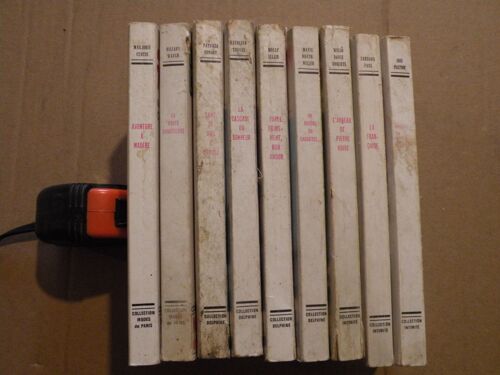 Brade Roman "La Route Dangereuse" De Hilary Waugh - 1977