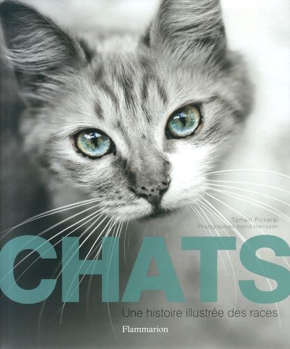 Chats - Une Histoire Illustrée Des Races