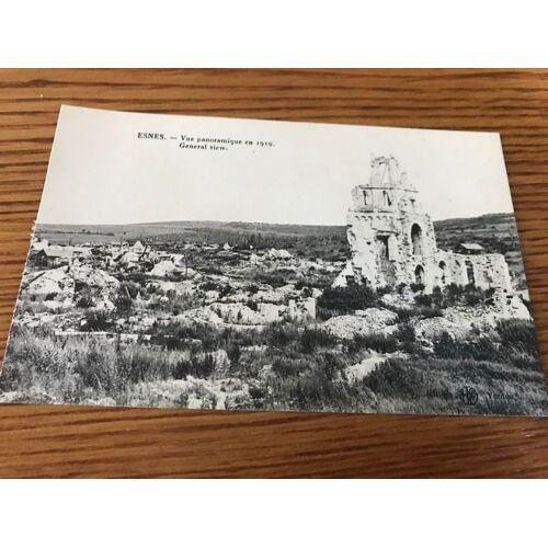Carte Postale Esnes "Vue Panoramique En 1919" Editions Hs Verdun .