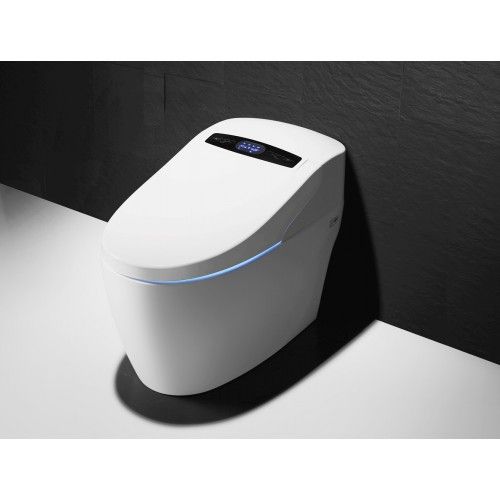 Wc lavant monobloc luxe - Platinium 2 TopToilet