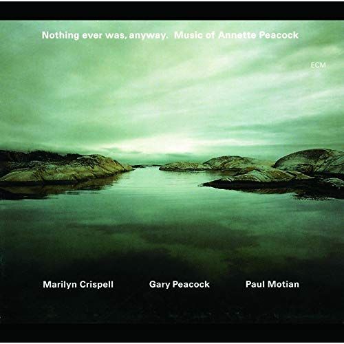 Nothing Ever Was Anyway: Music Of Annette Peacock