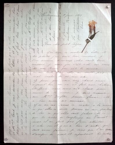 14-18 : Belle Lettre Fleur Séchée De L'arrière Le 9 Juin 1918 (Blessés De Guerre)