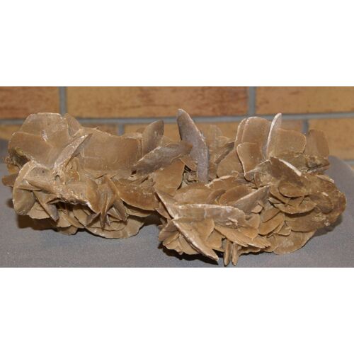 Rose Des Sables 1 Kg 537 24 Cm