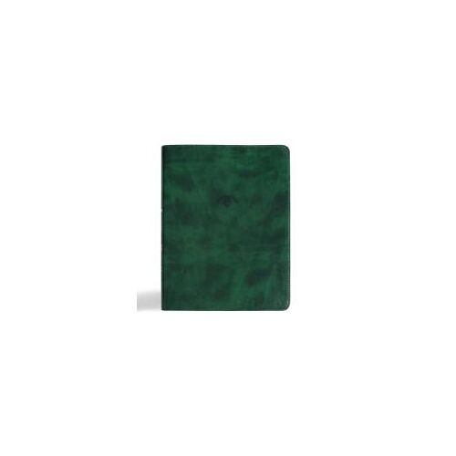 Csb Men Of Character Bible, Revised And Updated, Forest Leathertouch, Indexed