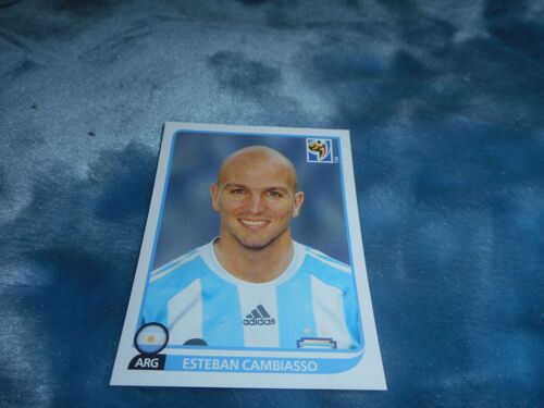 Panini / South Africa 2010 / Cambiasso / 114