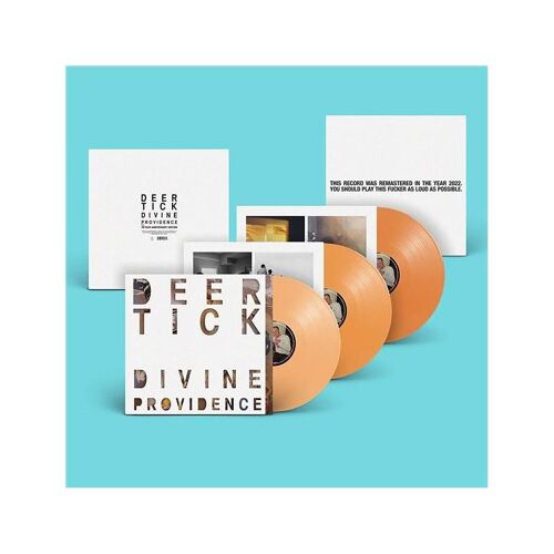 Divine Providence - Vinyle 33 Tours