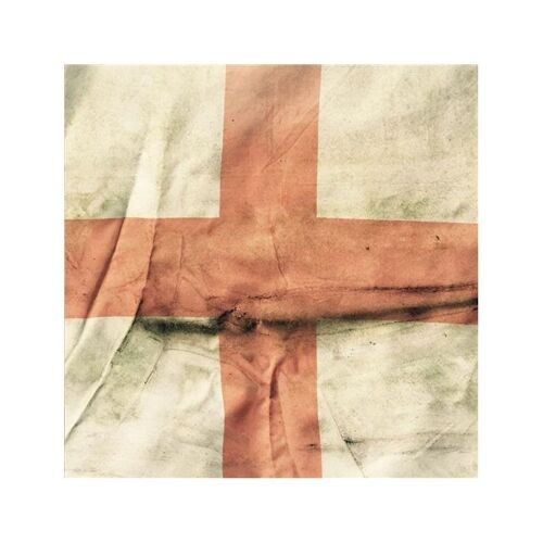 England Expectorates - Cd Album