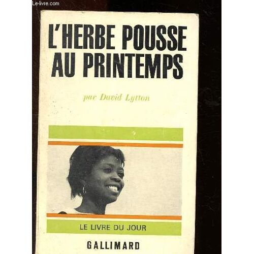 L Herbe Pousse Au Printemps