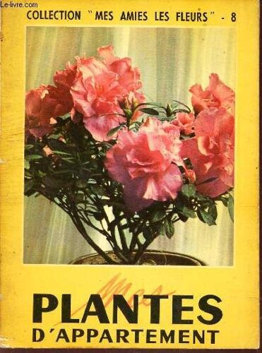 Plantes D Appartement.