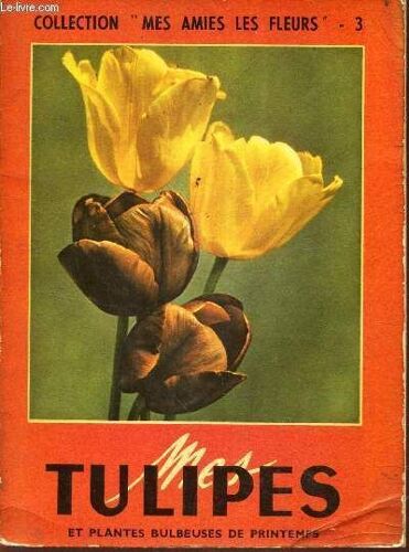 Mes Tulipes Et Plantes Bulbeuses De Printemps.