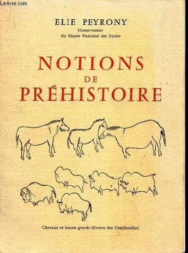 Notions De La Prehistoire