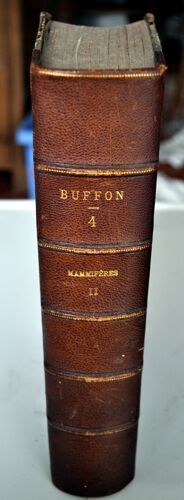 Oeuvres Complètes De Buffon -Tome Iv -Mammifères Ii