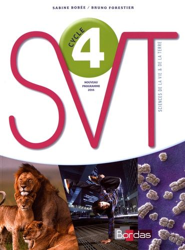 Svt Cycle 4