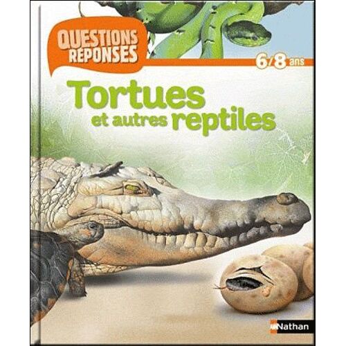 Tortues Et Autres Reptiles