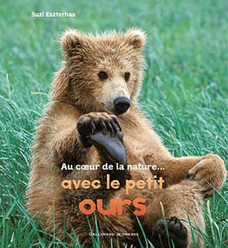 Au Coeur De La Nature Avec Le Petit Ours