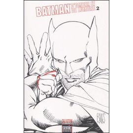 Batman - D'ombre Et De Lumière, Tome 2