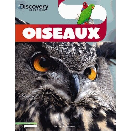 Oiseaux