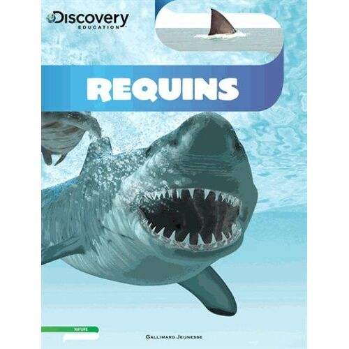 Requins