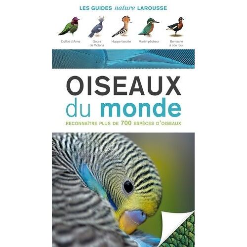 Oiseaux Du Monde
