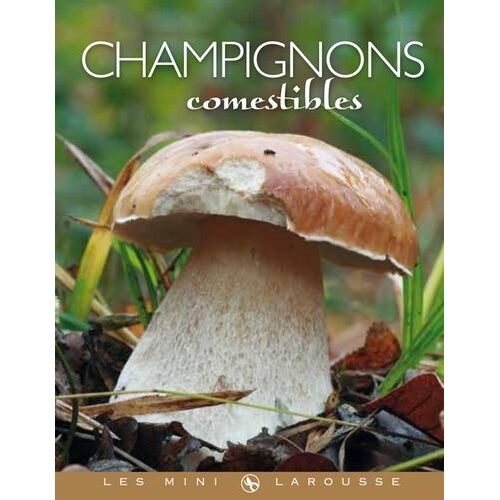 Champignons Comestibles