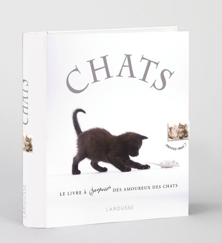 Chats - Le Premier Livre Animé Pour Tous Les Passionnés De Chats