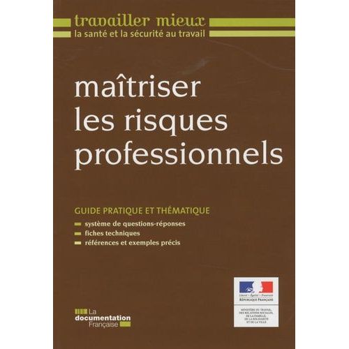 Maîtriser Les Risques Professionnels