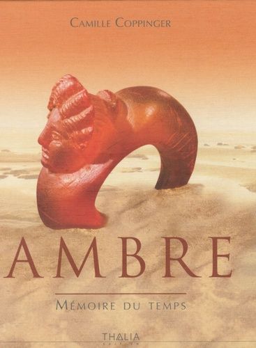 Ambre, Mémoire Du Temps
