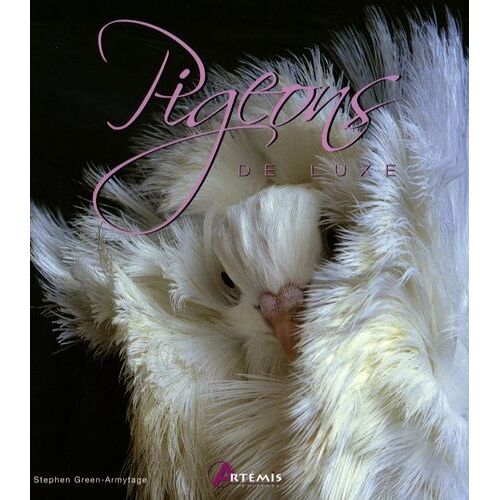 Pigeons De Luxe