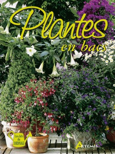 Plantes En Bacs