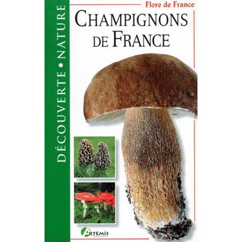 Champignons De France