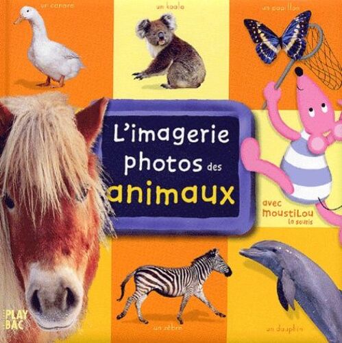 L'imagerie Photos Des Animaux Avec Moustilou La Souris