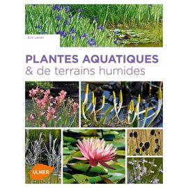 Plantes Aquatiques & De Terrains Humides