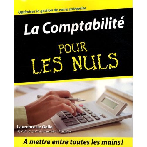 La Comptabilité Pour Les Nuls