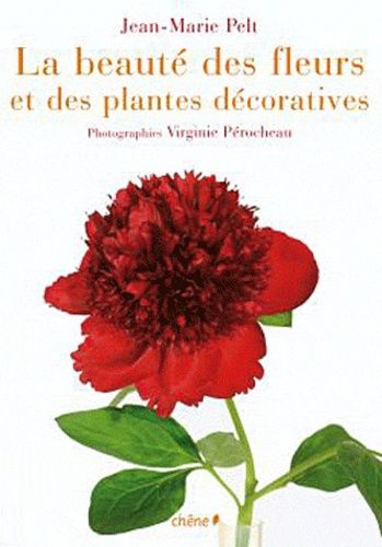 La Beauté Des Fleurs Et Des Plantes Décoratives